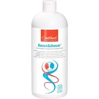 P. Jentschura P. Jentschura Bio-Duschgel "BasenSchauer" mit Mineralien, Kräuterextrakten & Kampfer, 1 l – Produktbild 1 von 1