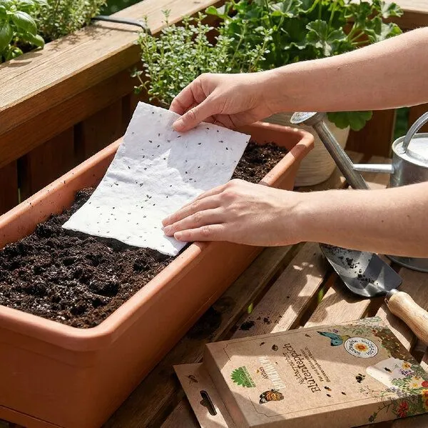 Die Stadtgärtner Die Stadtgärtner Bienenwohl - Blütenteppich – Produktbild 2 von 4