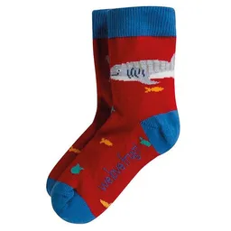 Frugi Frugi Socken Walhai Tango red- Perfect pair socks Whale Shark – Produktbild 1 von 1