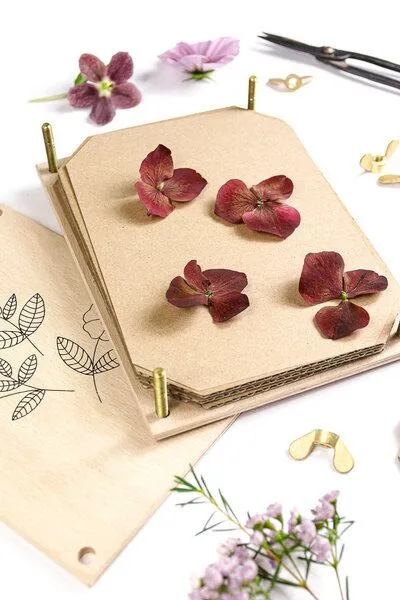 STUDIO KARAMELO STUDIO KARAMELO BLUMENPRESSE aus Buchenholz HECKENROSE – Produktbild 4 von 5