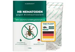 Silberkraft Silberkraft HB Nematoden zur Bekämpfung von Dickmaulrüsslern – Produktbild 1 von 1