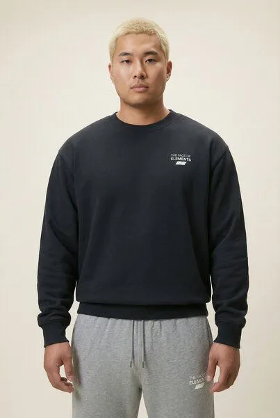 THE FACE OF ELEMENTS The Face of Elements Element - Regular Fit Sweatshirt aus 100% Bio-Baumwolle, Black (schwarz), – Produktbild 3 von 4