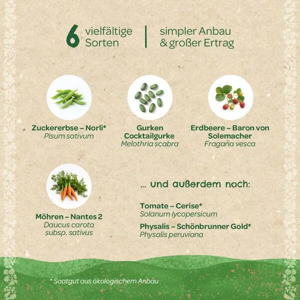 Die Stadtgärtner Die Stadtgärtner BIO-Saatgut-Set "Naschgarten" – Produktbild 1 von 3