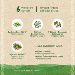 Die Stadtgärtner Die Stadtgärtner BIO-Saatgut-Set "Naschgarten" – Produktbild 1 von 1