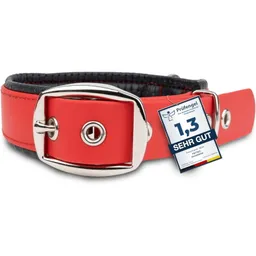 PetTec PetTec veganes Hundehalsband rot S – Produktbild 1 von 1
