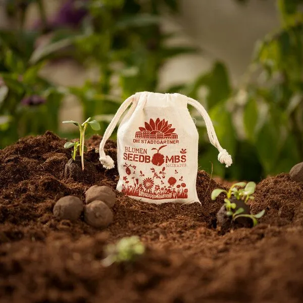 Die Stadtgärtner Die Stadtgärtner 8 Seedbombs "Bienenschmaus" im Mini-Jutebeutel – Produktbild 2 von 4