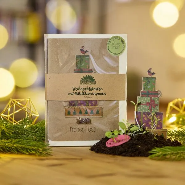 Die Stadtgärtner Die Stadtgärtner Weihnachtskarten Grußkarten Set I Außergewöhnliche Karten für Weihnachten und deine Weihnachtsgrüße – Produktbild 1 von 3