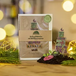Die Stadtgärtner Die Stadtgärtner Weihnachtskarten Grußkarten Set I Außergewöhnliche Karten für Weihnachten und deine Weihnachtsgrüße – Produktbild 1 von 1