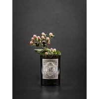 MaBe MaBe Vase aus der Gin Flasche - witzig als nachhaltiges Geschenk – Produktbild 1 von 1