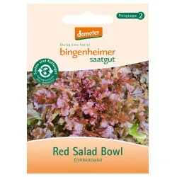 Bingenheimer Saatgut Eichblattsalat Red Salad Bowl – Produktbild 1 von 1