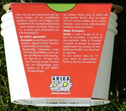 Aries Aries Kräutertöpfchen italienische Kräuter – Produktbild 1 von 1