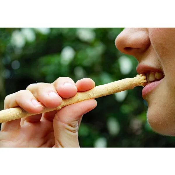 Unicorn Unicorn Miswak Zahnpflegeholz – Produktbild 3 von 4