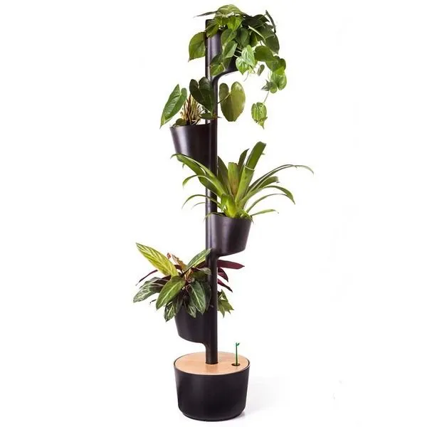 CitySens CitySens Vertikaler Blumentopf mit 4 luftreinigenden Pflanzen, Schwarz, – Produktbild 2 von 3