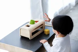 PlanToys PlanToys Formen Sortieren Steckspiel aus Kautschukholz Maße 24 x 11,5 x 10 cm – Produktbild 1 von 1
