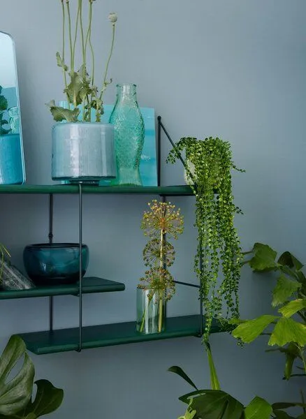 Hausen Hausen Wandregal SHRINK shelf forest, Grün (ral 6005), – Produktbild 3 von 3