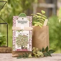 Die Stadtgärtner Die Stadtgärtner Anzuchtset Bienenbaum | Tausendblütenstrauch Samen I Geschenk für Gärtner und Naturliebhaber – Produktbild 1 von 1