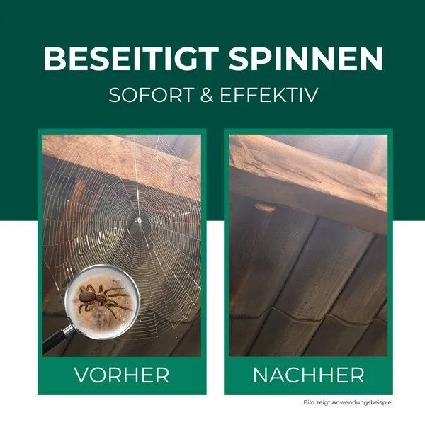 Silberkraft Silberkraft Spinnenspray 500 ml inkl. E-Book – Produktbild 2 von 4