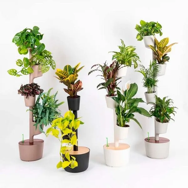 CitySens CitySens Vertikaler Blumentopf mit 4 luftreinigenden Pflanzen, Schwarz, – Produktbild 3 von 3