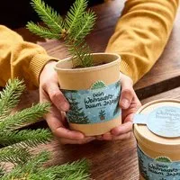 Die Stadtgärtner Die Stadtgärtner Weihnachtsbaum aus dem Becher I Anzuchtset I Nachhaltiges Weihnachtsgeschenk – Produktbild 1 von 1