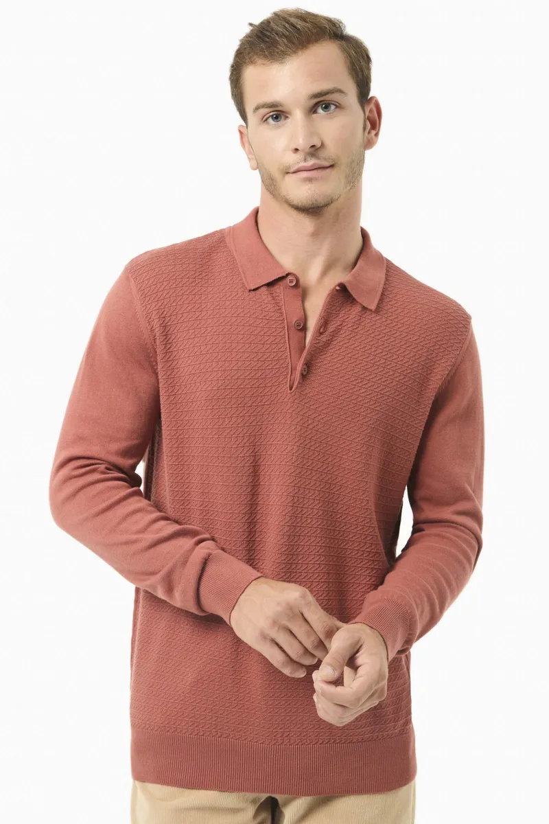 ORGANICATION ORGANICATION Herren vegan Pullover Polo Kragen Zimt Hellbraun, Hellbraun, – Produktbild 2 von 2