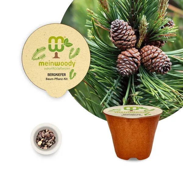 meinwoody meinwoody Baum-Pflanz-Set – Produktbild 2 von 8