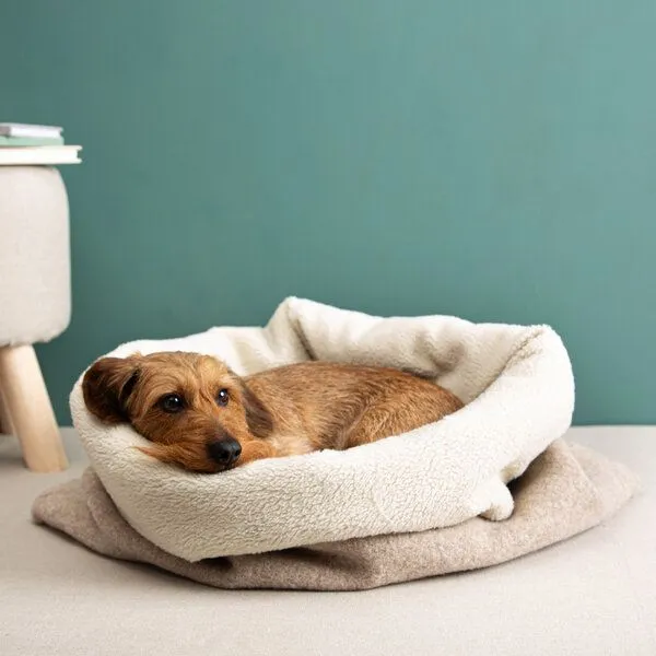 nahtur-design nahtur-design Kuschelsack für Hunde | 100% Schurwolle | Wechselbares Inlay, Beige, – Produktbild 4 von 4