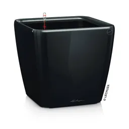 Lechuza® Lechuza® 'Quadro LS 43', schwarz, ca. 43 x 43 x H 39 cm – Produktbild 1 von 1
