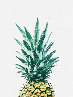 Photocircle Photocircle Poster / Leinwandbild - Pineapple No1 – Produktbild 1 von 1