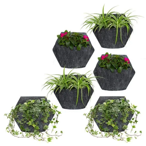 CitySens CitySens 6er-Pack Wand-Blumentopf mit Textilbezug, Weiss, – Produktbild 4 von 4