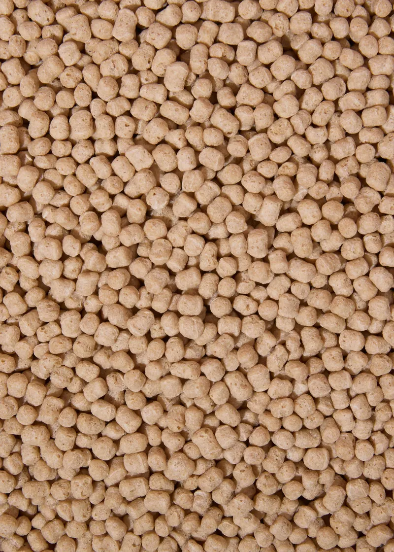 KoRo Soja Protein Crispies 90 % | 1 kg – Produktbild 2 von 5