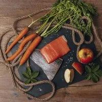 Liebesgut Tiernahrung Liebesgut Tiernahrung Bio-Lachs mit Bio-Apfel und Bio-Karotte – Produktbild 1 von 1