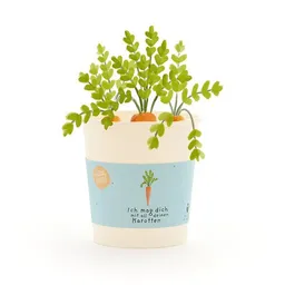 Die Stadtgärtner Die Stadtgärtner Möhren-Anzuchtset als Geschenk für Lieblingsmenschen | Nachhaltige Geschenkidee für Liebesbotschaften, Geburtstage & Dankeschön – Produktbild 1 von 1