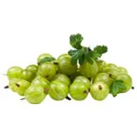 Deutschland Stachelbeeren – Produktbild 1 von 1