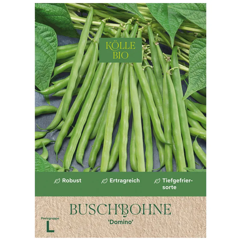 Kölle Bio Kölle Bio Gemüsesamen, Buschbohne 'Domino' – Produktbild 1 von 1
