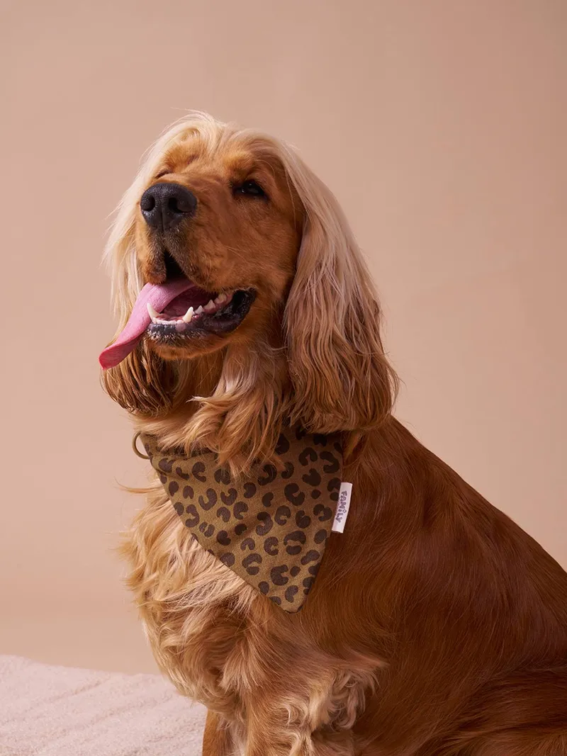 Vertbaudet Bandana-Hundehalsband FAMILY, Braun bedruckt, – Produktbild 1 von 4