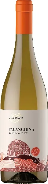 Villa Raiano Villa Raiano Falanghina Beneventano IGT Jg. 2024 – Produktbild 1 von 1