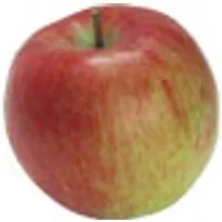 Ã sterreich ÃÑpfel Braeburn – Produktbild 1 von 1