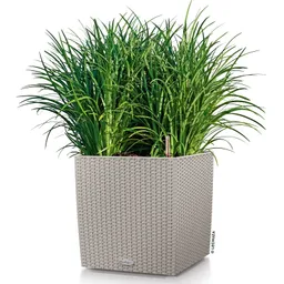 Lechuza® Lechuza® 'Cube Cottage 40', sandbraun, ca. 39 x 39 x H 40 cm – Produktbild 1 von 1