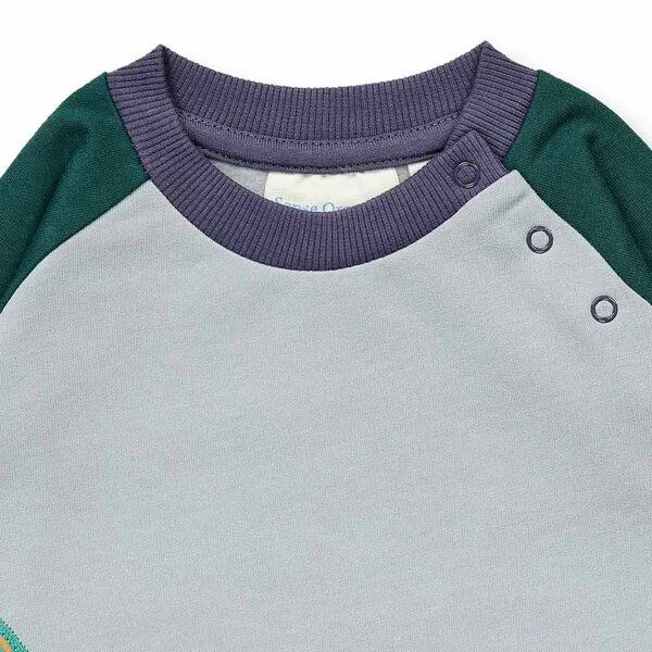 Sense Organics Sense Organics Baby Sweatshirt mit Bären-Motiv, Modell BUDA, Bären-druck auf grau / ärmel in tannengrün, – Produktbild 3 von 4