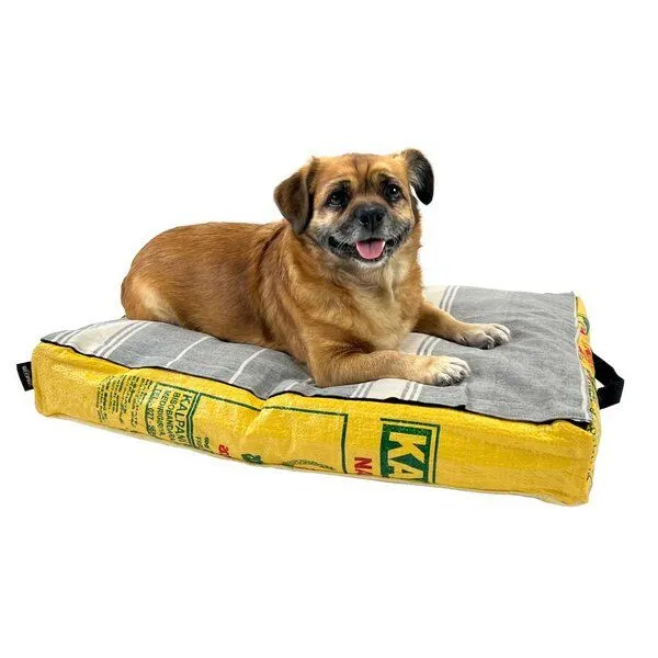 GOOPSI GOOPSI Hundebett mit BIO-Baumwollfüllung, Gelb, – Produktbild 1 von 6
