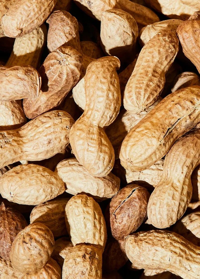 KoRo Bio Erdnüsse mit Schale 1 kg – Produktbild 1 von 5