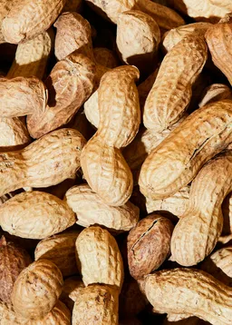 KoRo Bio Erdnüsse mit Schale 1 kg – Produktbild 1 von 1