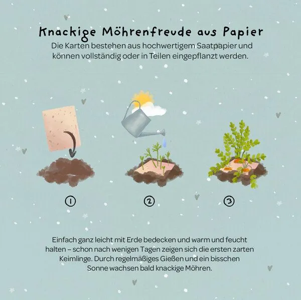 Die Stadtgärtner Die Stadtgärtner Grußkarte mit Saatpapier und Umschlag für Geburtstag, Jahrestag & Wertschätzung – Produktbild 2 von 2