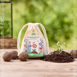 Die Stadtgärtner Die Stadtgärtner Bienenschmaus I Blumen für Bienen I Samenbomben mit Saatgut für Bienen I Seedbombs I Geschenk für den Garten – Produktbild 1 von 1