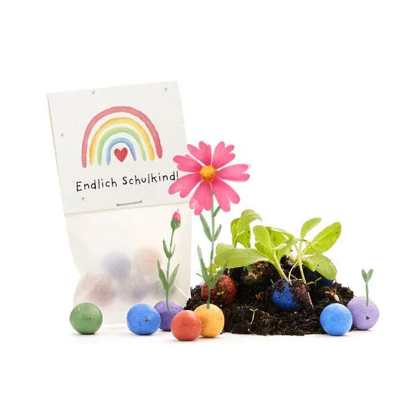 Die Stadtgärtner Die Stadtgärtner 5 bunte Blumenmurmeln im Tütchen mit Wildblumensaatgut | Geschenkidee zur Einschulung, Schulanfang, für Schultüte | "Endlich Schulkind!" – Produktbild 2 von 4