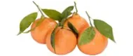 Spanien Clementinen – Produktbild 1 von 1