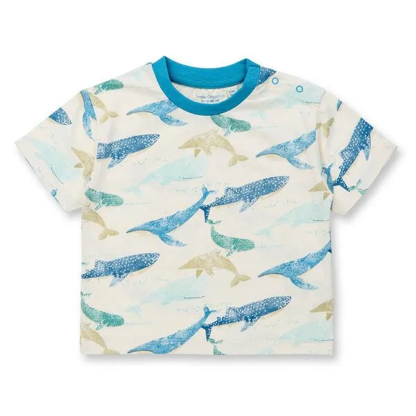 Sense Organics sense-organics Sense Organics Baby T-Shirt Waal-Motiv Bio Baumwolle, Eggshell whales, – Produktbild 1 von 1