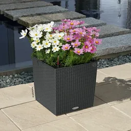 Lechuza® Lechuza® 'Cube Cottage 50', granit, ca. 49 x 49 x H 49,5 cm – Produktbild 1 von 1