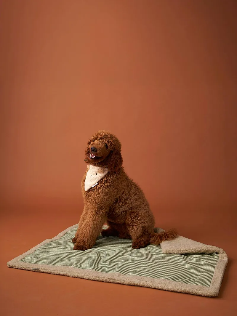 Vertbaudet Wendbare Hundedecke, Grün gestreift, – Produktbild 1 von 4