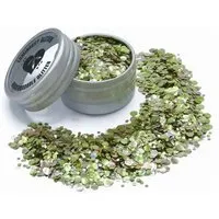Luminosity Glitter Luminosity Glitter Eco Glitter | Bio Glitzer 100% kunststofffrei, Starburst, – Produktbild 1 von 1
